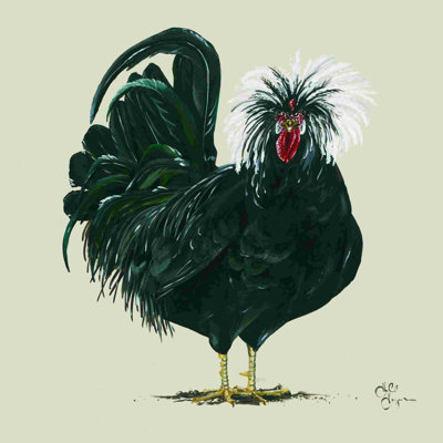 Poulet 2883028