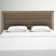 Eleora Upholstered Headboard