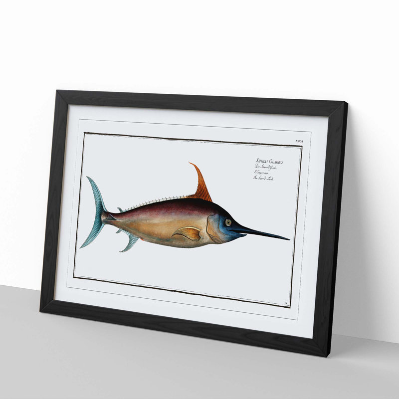 Swordfish - Picture Frame Art Prints, Black Framed, 27cm H x 36cm W x 2cm D