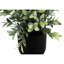 2 pièces de 11 po de hauteur plantes d'eucalyptus artificiels, verdure décorative intérieure dans des pots noirs, réaliste de longue durée