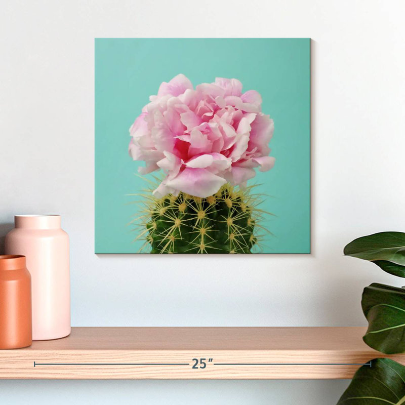 Fleur de cactus rose Harnek, H 10 po x l 10 po