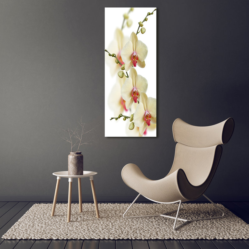 Orchid - Wrapped Canvas Print