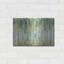 «The Forest I» par Lisa Audit-856851002