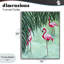 Giclée de l'étang de flamant rose peu profond, design par Sarah Waldron Kimball-1721649878-1721649874