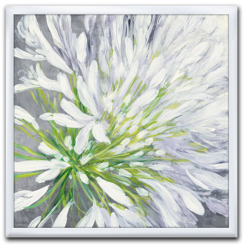 Cadre photo « fleur cleome splash ii », reproduction sur toile, H 16 po x l 16 po x P 1 po, Cadre blanc