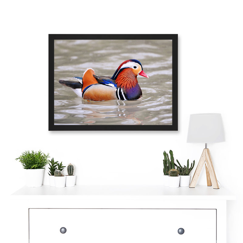 Animal Bird Male Mandarin Duck - Single Picture Frame Print