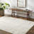 Ashmin Indoor Rug-795561871