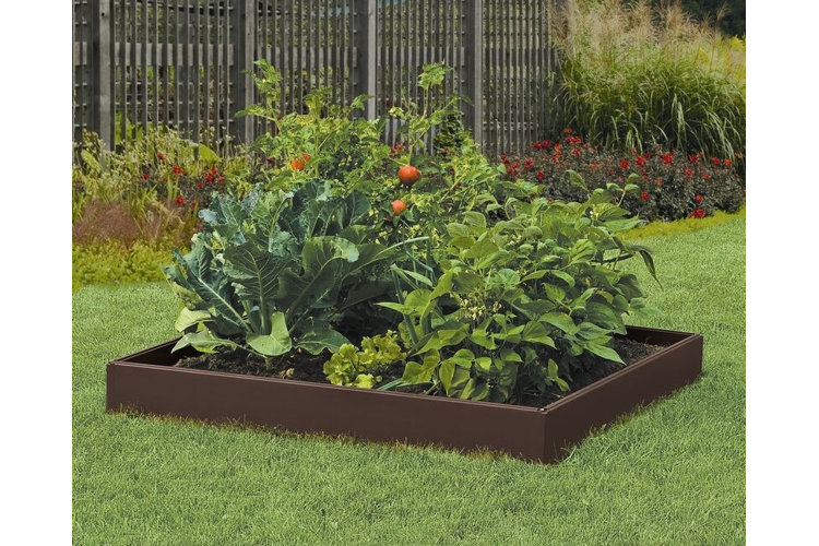 Growing your own vegetables at home