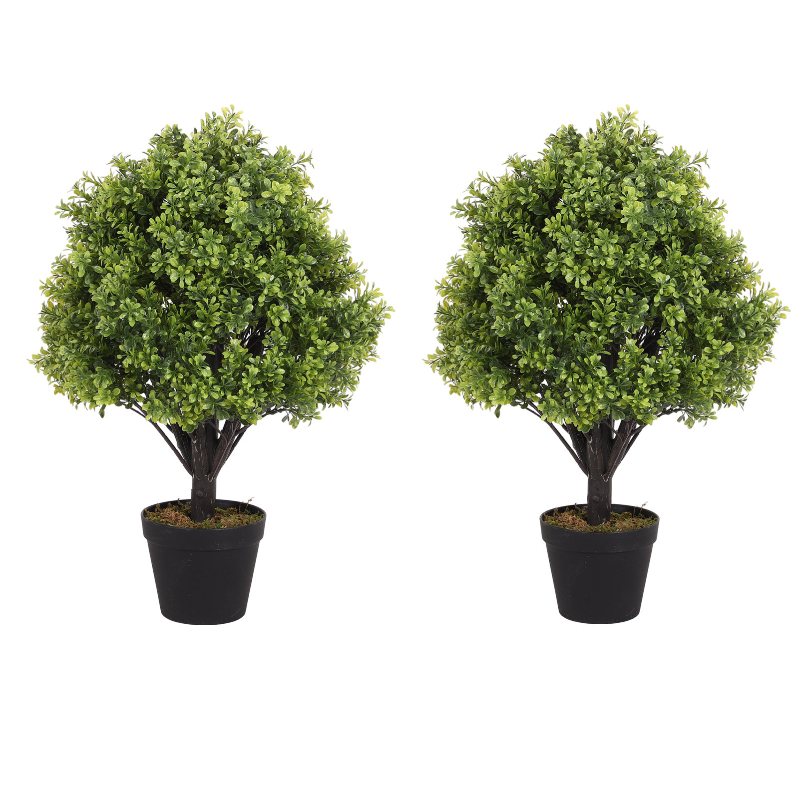 Primrue Hallam 24-Inch Indoor or Outdoor Faux Boxwood Topiary in Pot \u0026  Reviews | Wayfair, image size:1600x1600