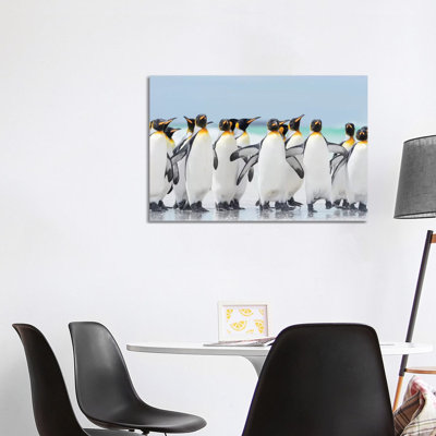 King Penguin On Falkland Islands. by Martin Zwick - Wrapped Canvas Print