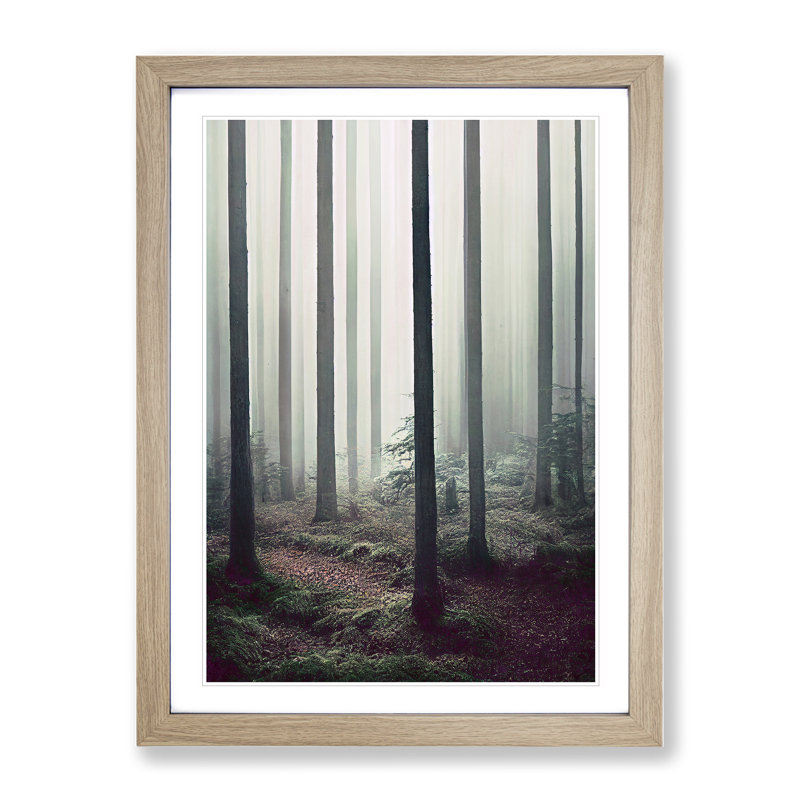 A Quiet Forest - Print, 66cm H x 48cm W x 2cm D, Oak Framed, White