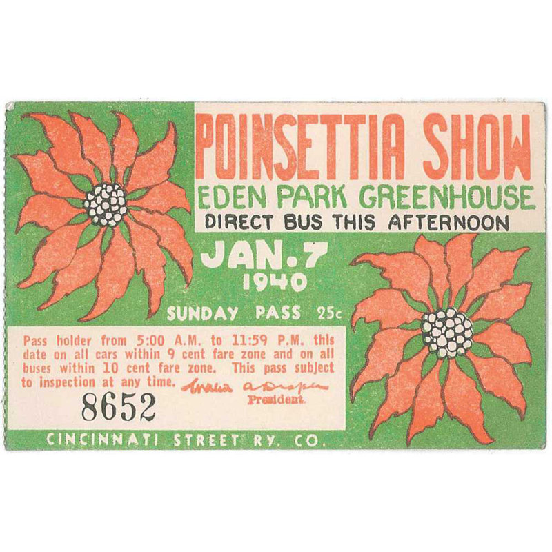 Poinsettia Show Poster - Wrapped Canvas Print, 81cm H x 122cm W x 3.8cm D