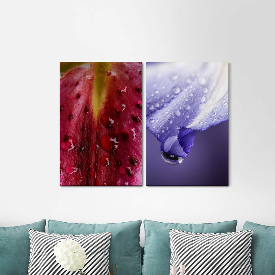 2-tlg. Leinwandbilder-Set - Fotografie „Flowers Blossoms Pearls Water Drops Orchid Fresh”