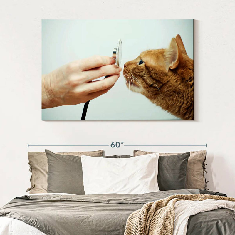 " Cat Vet ", 34" H x 51" W x 1.25" D