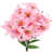 Rose sélectionné