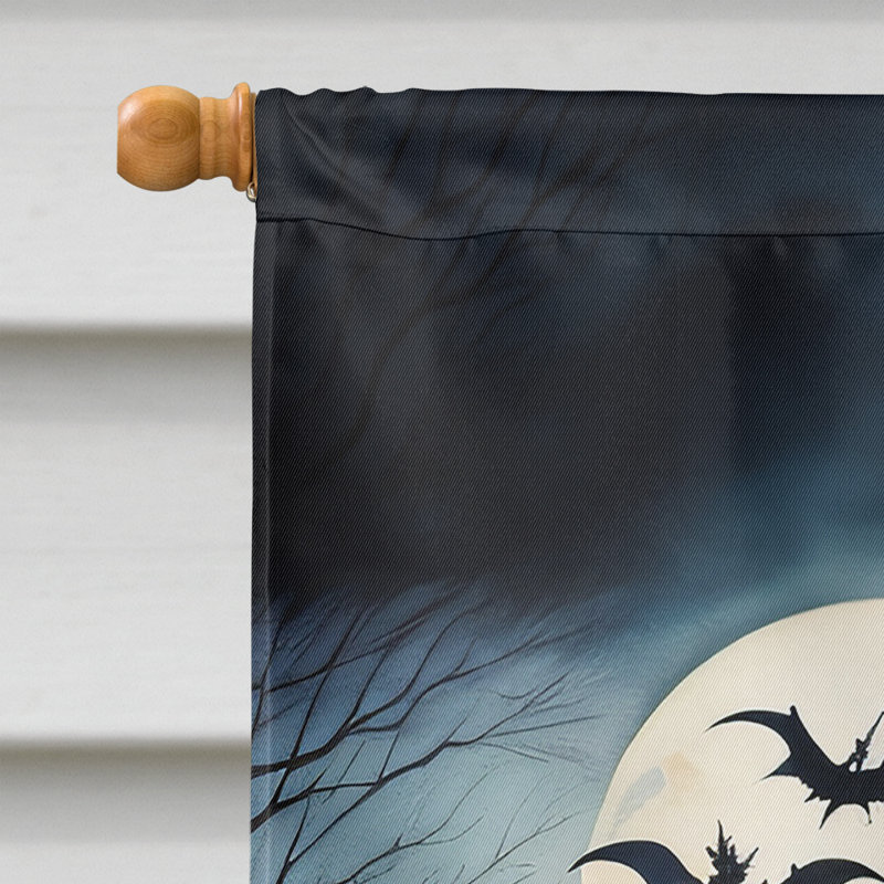 Double Sided 40'' H x 28'' W Polyester Halloween House Flag
