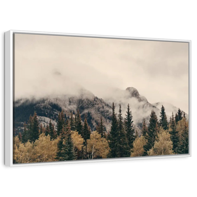 Foggy Banff National Park, Cadre flottant blanc, 13 po x 9 po