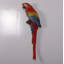 Statue perroquet Ara rouge