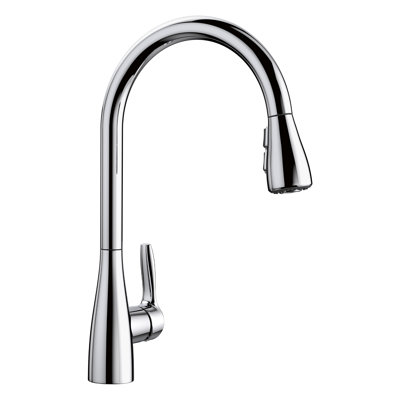 Atura Pull-Down Dual-Spray Kitchen Faucet