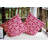 Valentine's Day Outdoor Reversible Throw Pillow-1006245447-1006245446