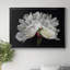Éclairage du matin - Reproduction de photo sur toile-748523877-748523878