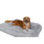 Shaggy Fur On Top & Band With Oxford Non-Slip Backing.-783477928-783477932