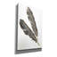 «Paul Gold Feathers III» sur toile par Chris Paschke-1298755561