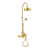 Supercoat Brass