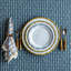 Emilie Napkin - Chambray