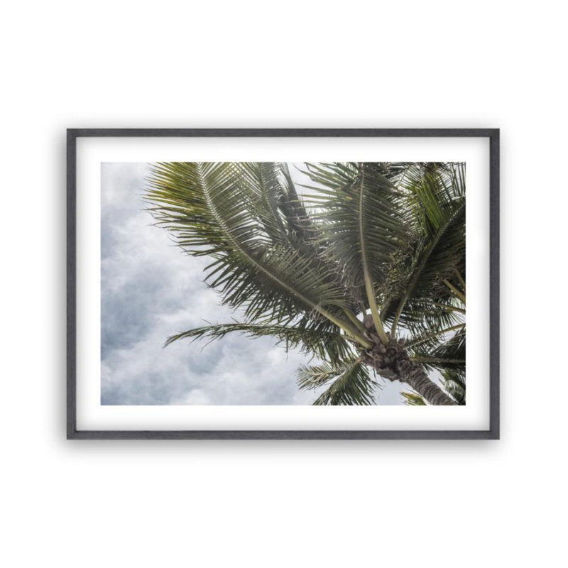 Print, Black Oak Frame, 31 cm H x 41 cm W x 2.5 cm D