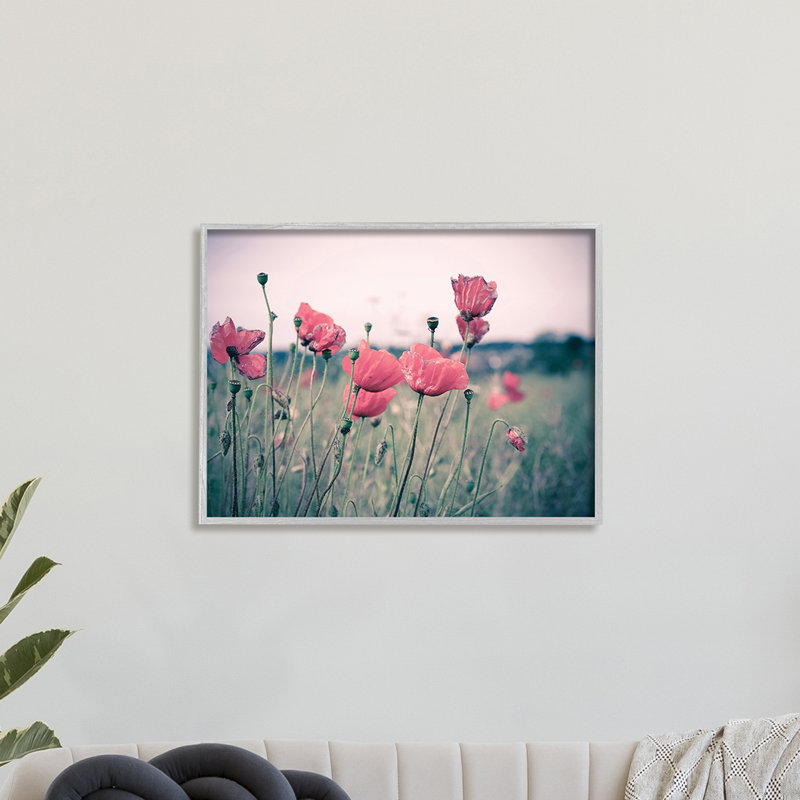 Champ de coquelicots d'automne - photographie, Estampe numérique Farmhouse, H 16 po x l 20 po