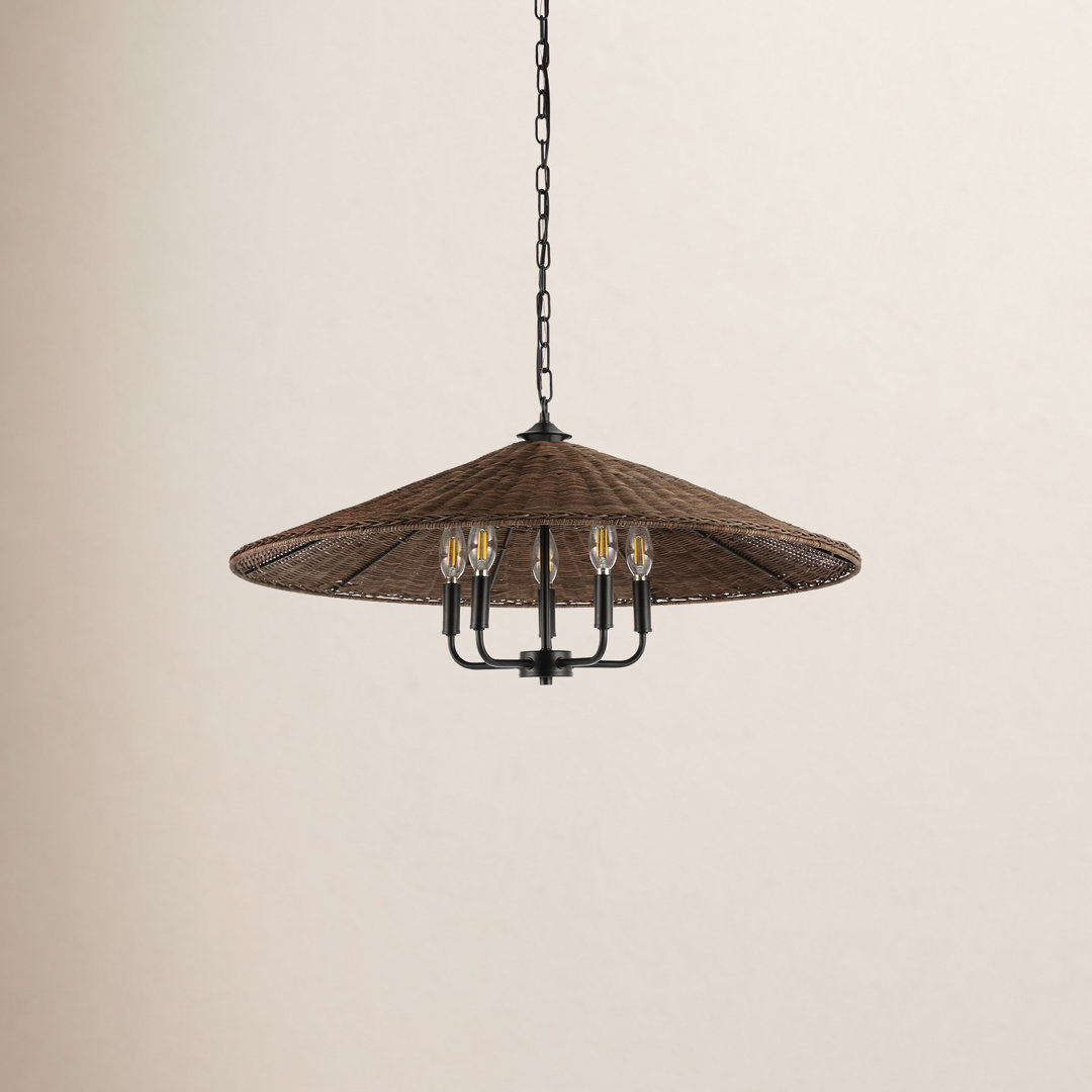Venie 5 - Light Black Cone Pendant Birch Lane™