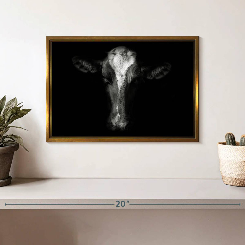 Visage de vache monochrome, Cadre flottant doré, 13 po x 9 po