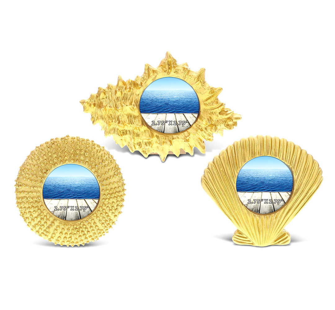 Posner 3 Piece Matte Plastic Picture Frame Set Highland Dunes 