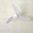 60'' Ceiling Fan-2048175950
