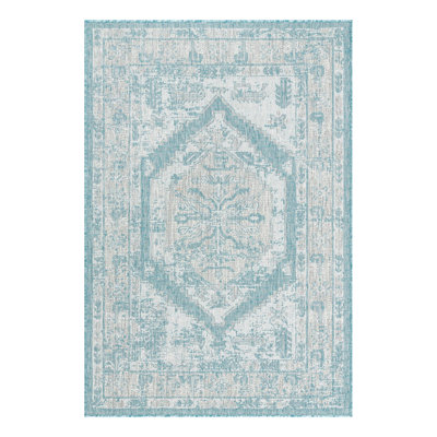 Oriental Indoor / Outdoor Rug