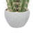 10.5'' Faux Succulent in Pot