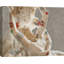3SH6274 Tattooed Lovers (Cupid And Psyche) by Steven Hill - Wrapped Canvas Print-2073613676