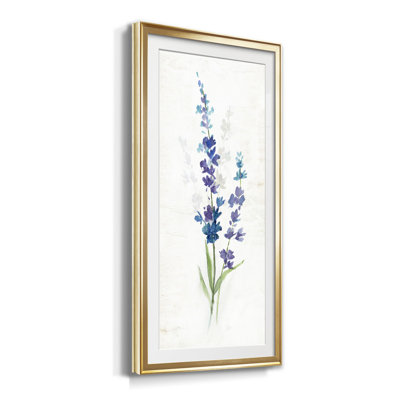 " Fresh Cut Lavender II "