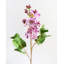 Artificial White Lilac 22.5"-719866864