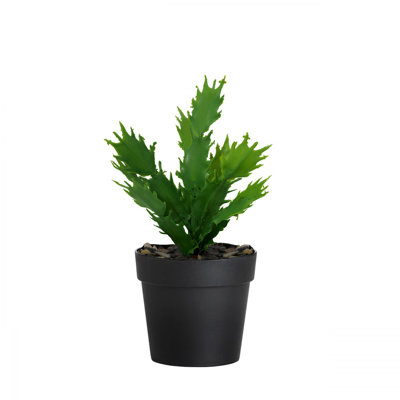 Cisneros Decorative Plastic Pot, Black & Green, 8.3 inches Height x 3.5 inches Upper Diameter x 2.4 inches Lower Diameter | Lightweight & Durable Design, Perfect for Indoor Plants & Home Décor, Versatile & Stylish
