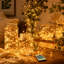 Guirlande lumineuse 99 pi avec 300 lumières DEL, blanc chaud 2700K, télécommande, pour l'extérieur et l'intérieur