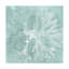 Reproduction d’art sur toile tendue, "algues sur Aqua III" par vision studio
