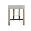 Upholstered Counter Heights Stool (Set Of 2)
