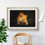 Red Squirrel - Framed Print-55598281-55598283