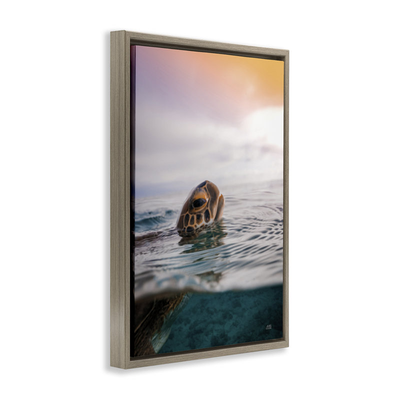  «Turtle Swim at Sunrise Floater» par Max Blakesberg Studios, Cadre flottant orme Montalcino, H 25 po x l 17 po