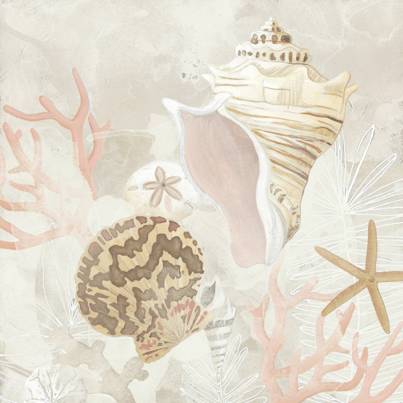 Shell Collector Fresco I by June Erica Vess - Wrapped Canvas Painting, 51cm H x 51cm W