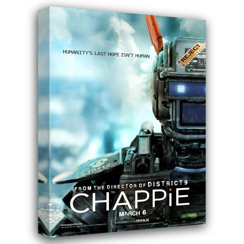 Chappie, H 18 po x l 12 po