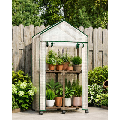 Mini support à plante d'intérieur à 2 niveaux pour serre avec couvercle en PE