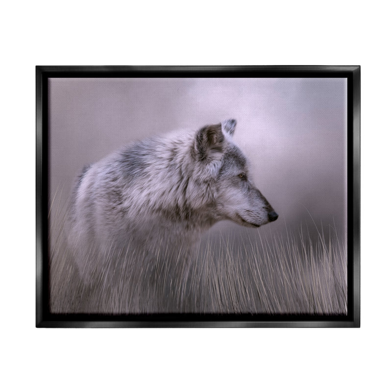 Loup gris - faune, Giclée encadrée noir minuit, H 17 po x l 21 po x P 1,7 po
